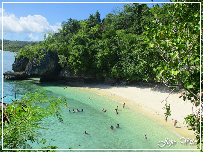 APO ISLAND, DUMAGUETE TRAVEL GUIDE | ITINERARY, BUDGET, LIST OF RESORTS