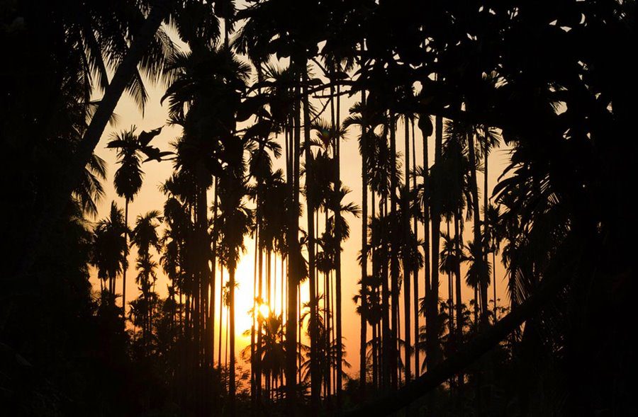 TOP TOURIST DESTINATIONS TO VISIT FOR MOTHER'S DAY