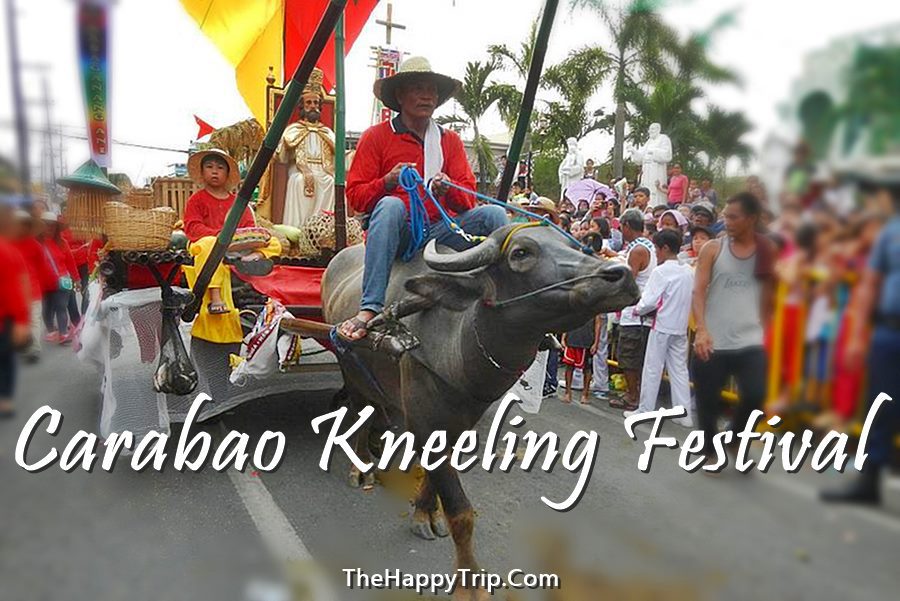 PULILAN KNEELING CARABAO FESTIVAL SCHEDULE OF ACTIVITIES