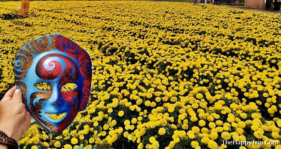 TAIPEI TAIWAN TOURIST SPOTS + TRAVEL GUIDE