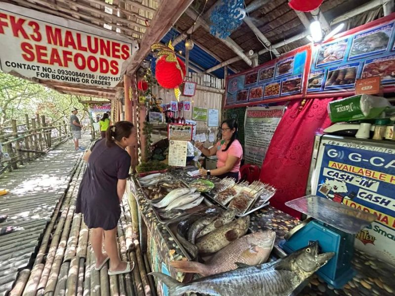 Tomongtong Mangrove Eco-Trail