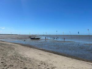 Tomongtong Mangrove Eco-Trail