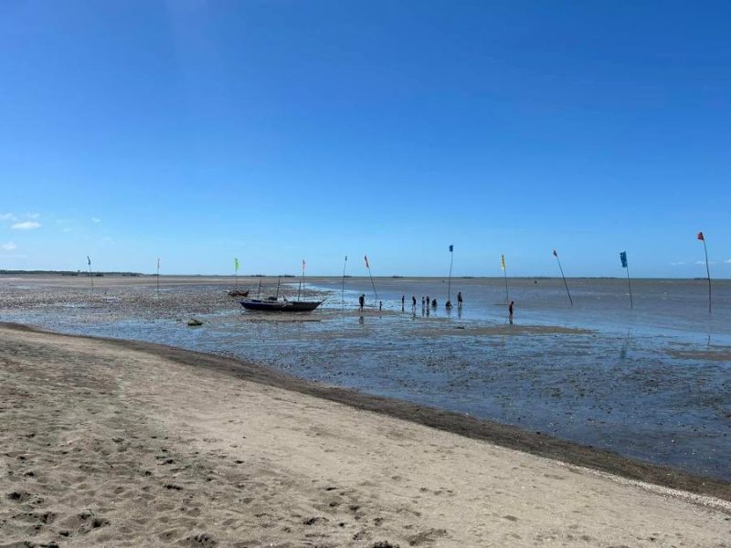 Tomongtong Mangrove Eco-Trail
