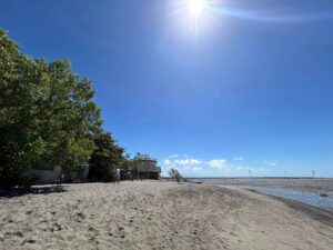 Tomongtong Mangrove Eco-Trail