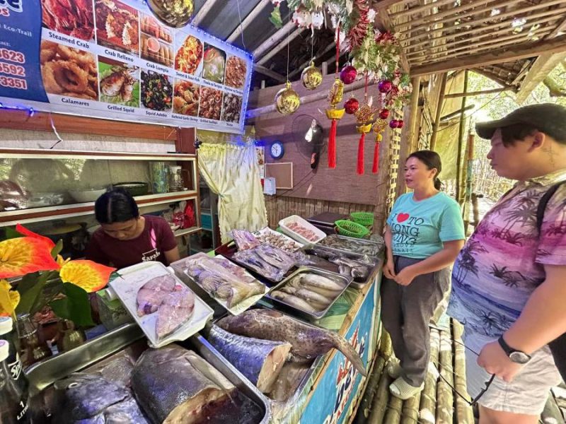 Tomongtong Mangrove Eco-Trail